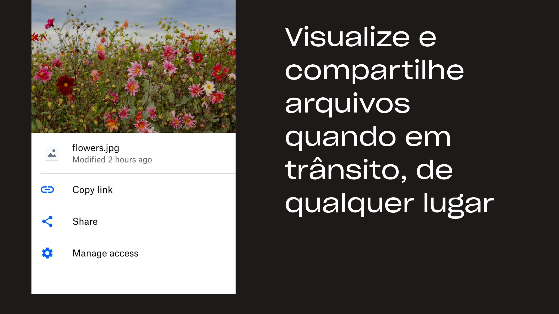 Dropbox 3