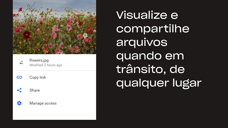 Dropbox 3