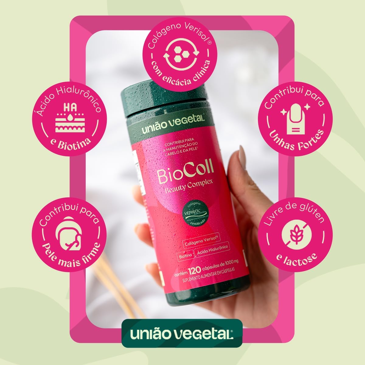 BioColl 2