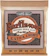 EARNIE BALL Encordoamento Earthwood Phosphor Bronze Extra Light para Violão 10-50 1