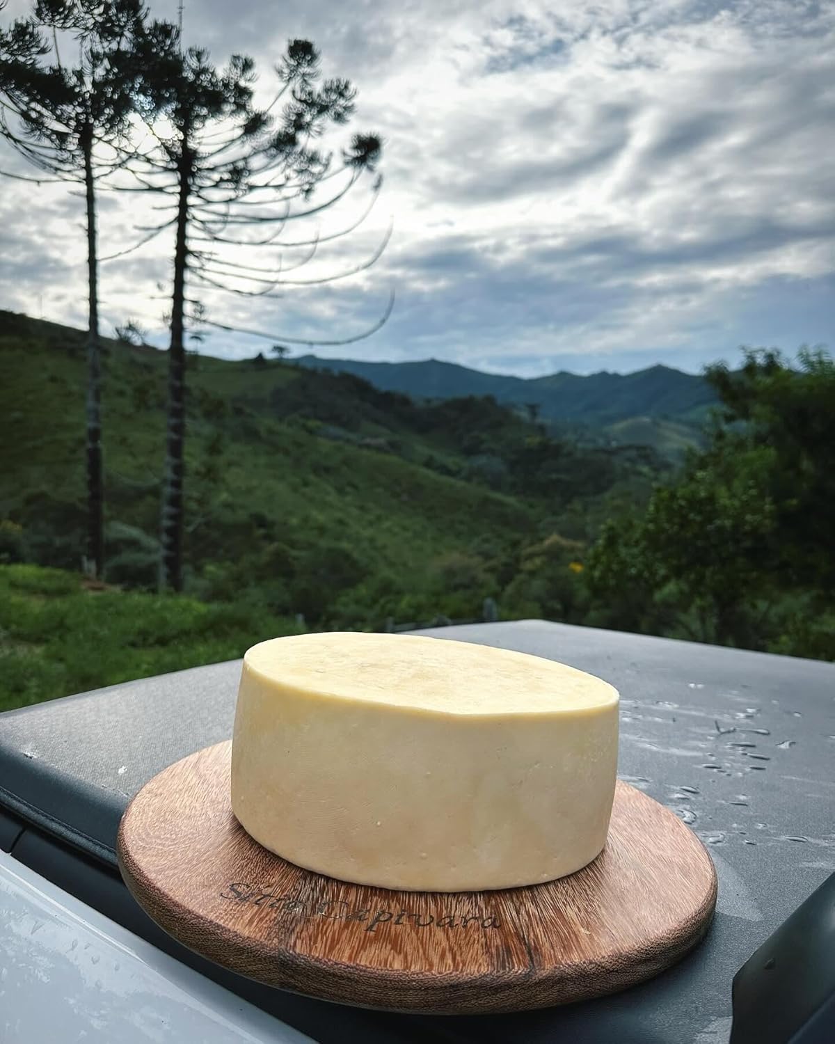 Queijo Parmesão Mineiro Artesanal 2