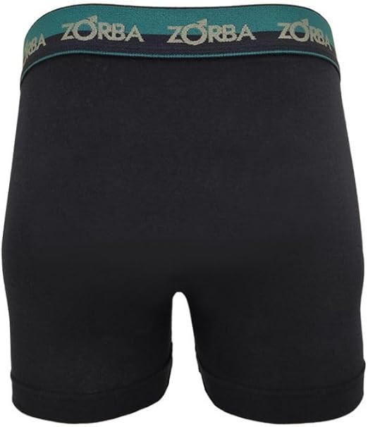 Kit 10 Cuecas Zorba Boxer Max Algodão 702 4