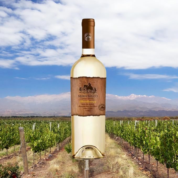 Sierra Batuco Vinho Branco Chileno Chardonnay 2