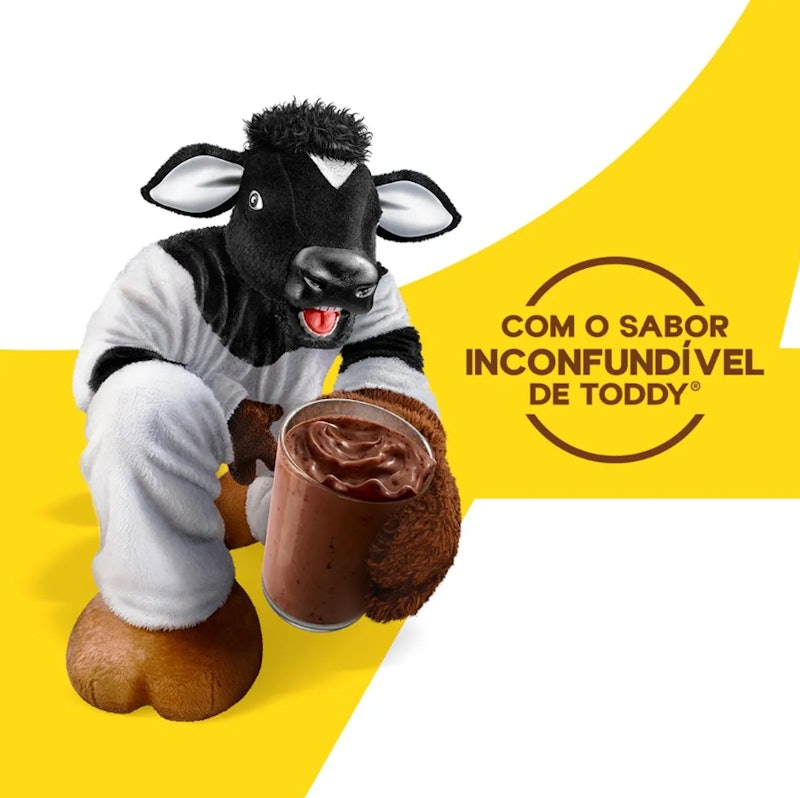 Best Whey Protein Achocolatado Toddy 4