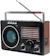 LIVSTAR Rádio Retrô CNN-686 Recarregável 1