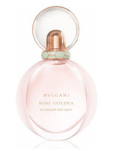 Top 10 Melhores Perfumes Bvlgari  (Omnnia e mais) 5