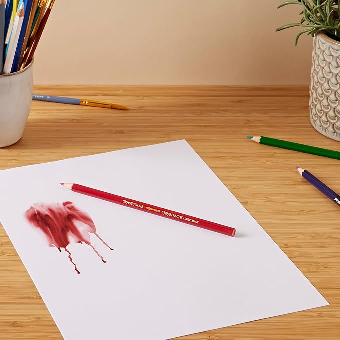 Caixa com 18 Lápis de Cor Permanentes Swisscolor 2