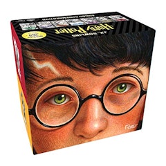 Box Harry Potter 20 Anos