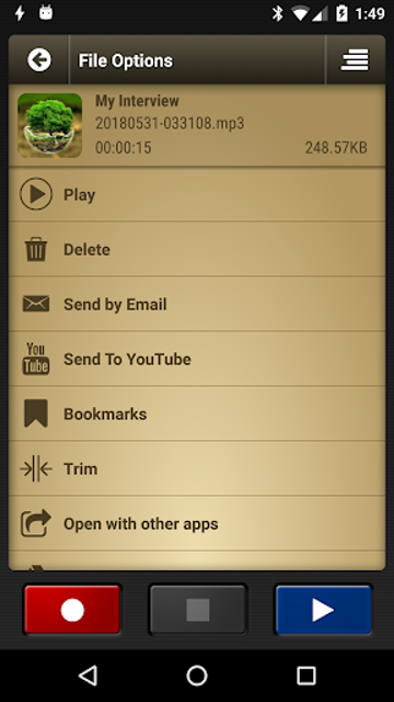 Voice Record Pro 4