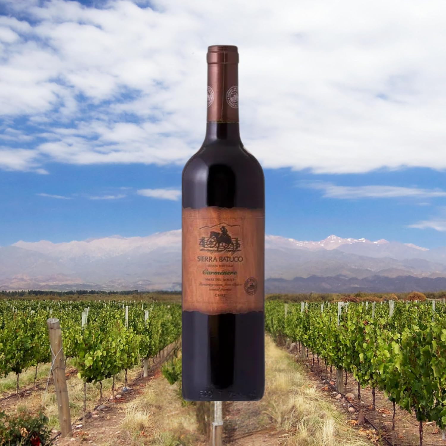 Vinho Tinto Carménère 2