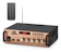 VEDO Amplificador de Áudio Digital Bluetooth 1