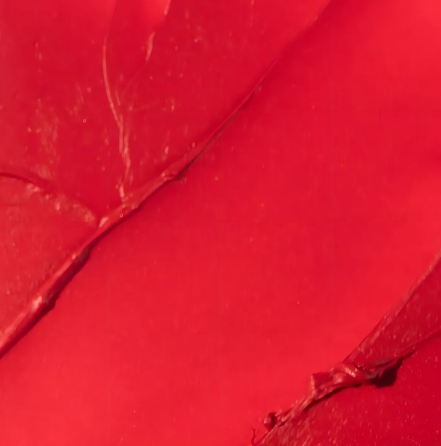 Batom Vermelho Semi-Matte – The Lipstick Red Kiss 2