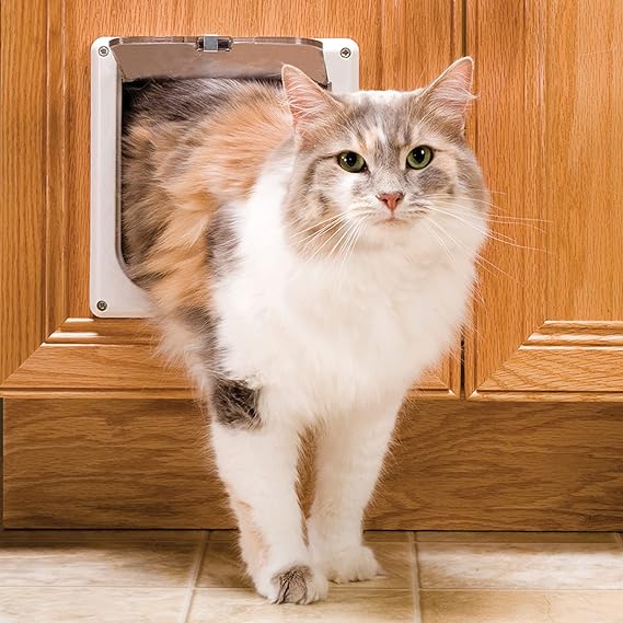 Way Locking Cat Door White 5