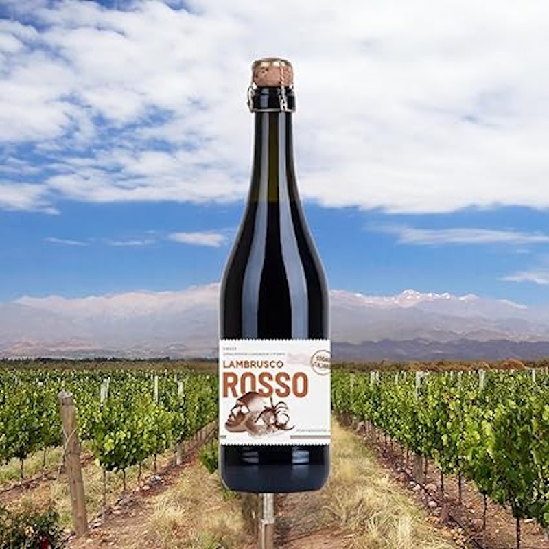 Vinho Lambrusco Sogno Italiano Tinto 3