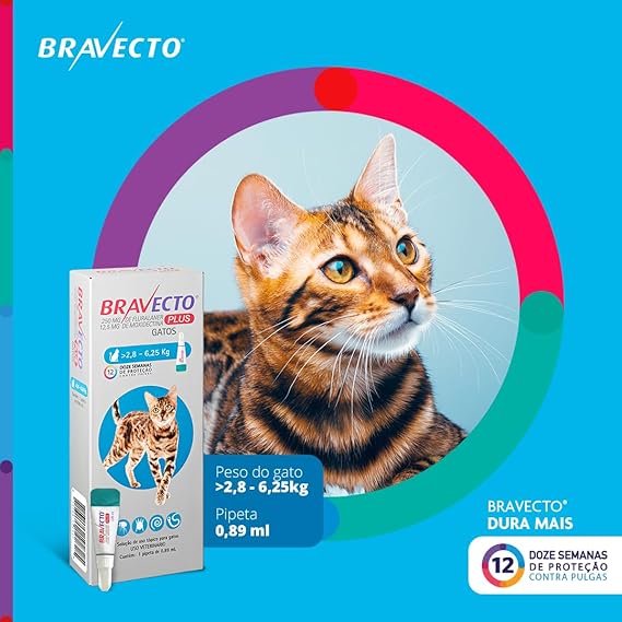 Antipulgas Bravecto Plus Gatos 3