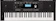 ROLAND Teclado Arranjador Roland E-X20A 1