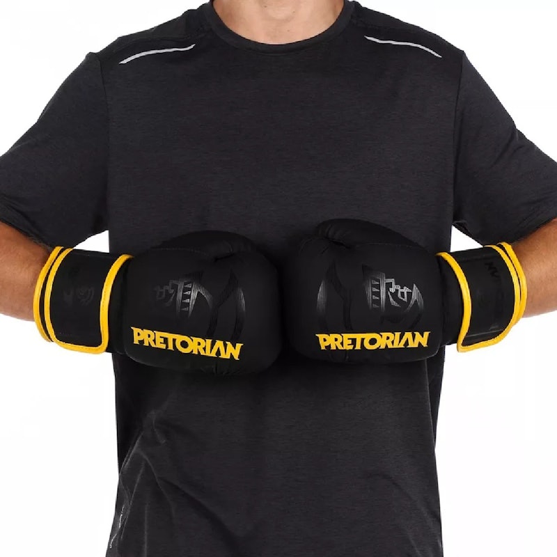 Luva de Boxe e Muay Thai First FX2 Pretorian 2