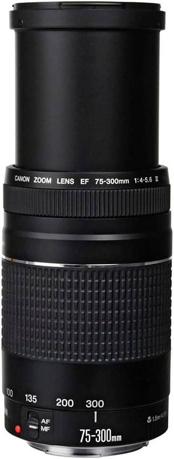 Lente Canon EF 75-300 mm f/4-5.6 III 3