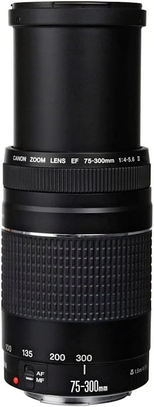 Lente Canon EF 75-300 mm f/4-5.6 III 3