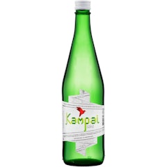 Sake Kampai