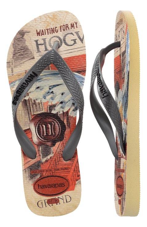 Chinelo Havaianas Top Clássicos Warner Harry Potter 3