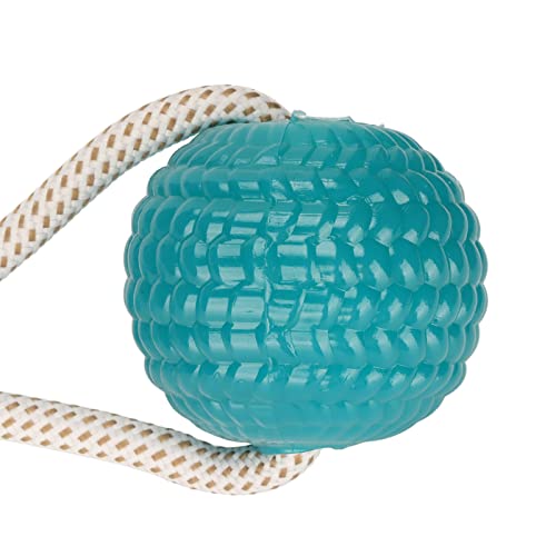 Brinquedo de Puxar e Mastigar para Cães 3