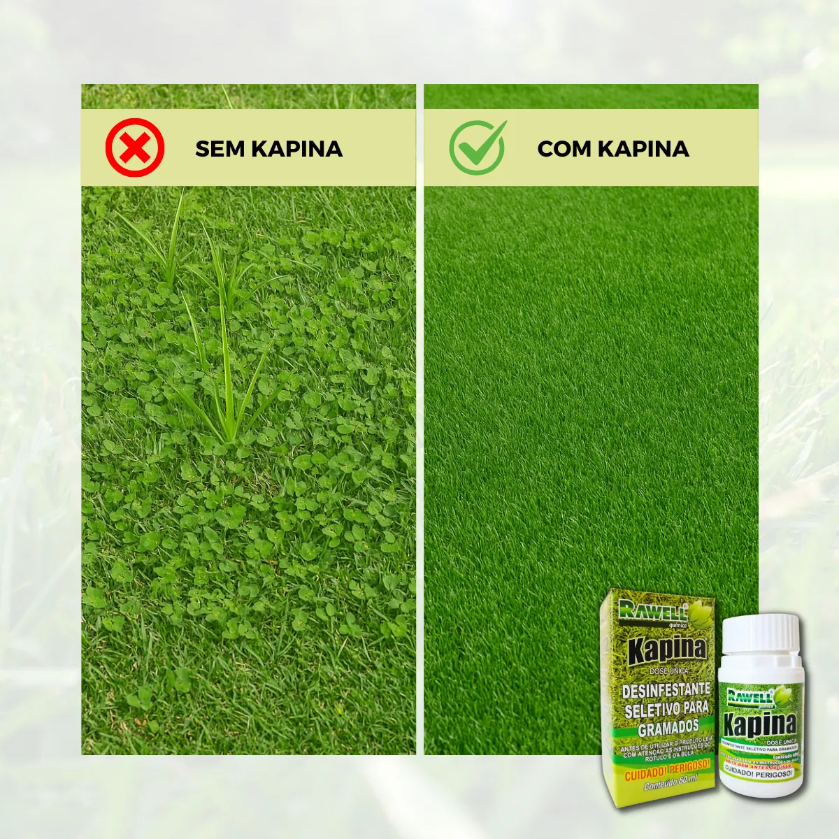 Kapina 60 ml 2
