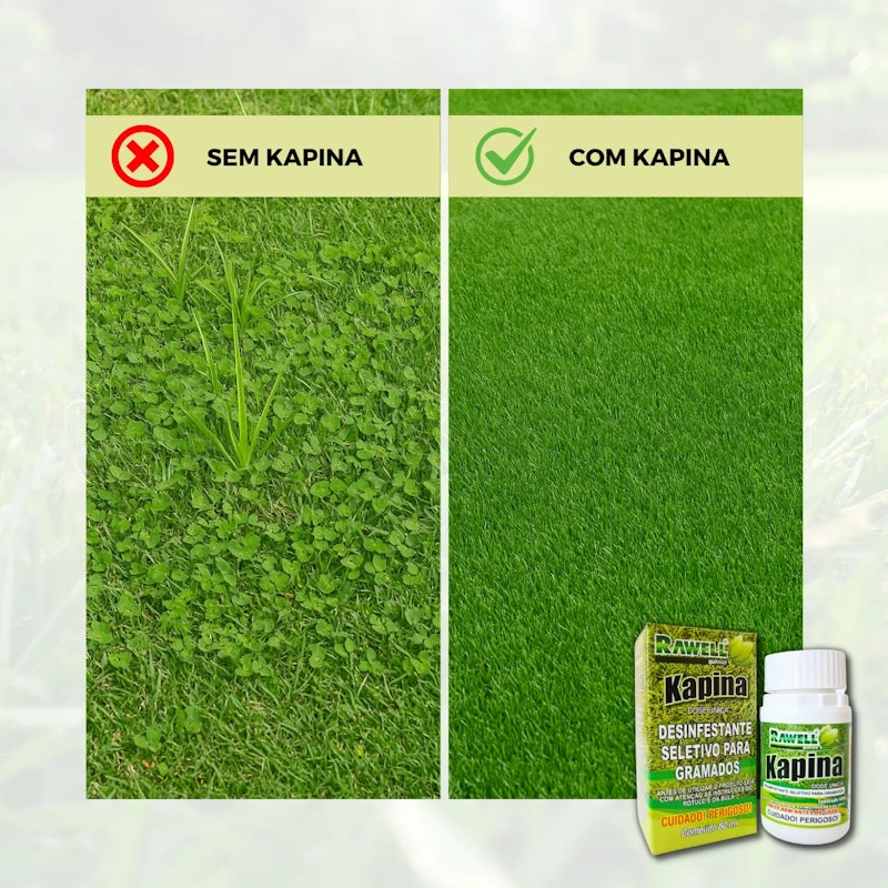 Kapina 60 ml 2