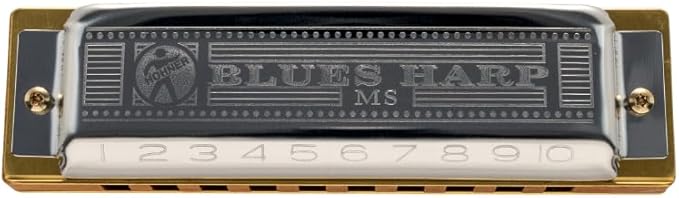 Gaita Blues Harp Hohner 2