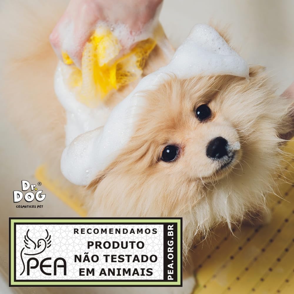 Tapete Higiênico Pet Lavável Reutilizável 5