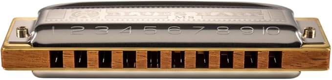 Gaita Blues Harp Hohner 3