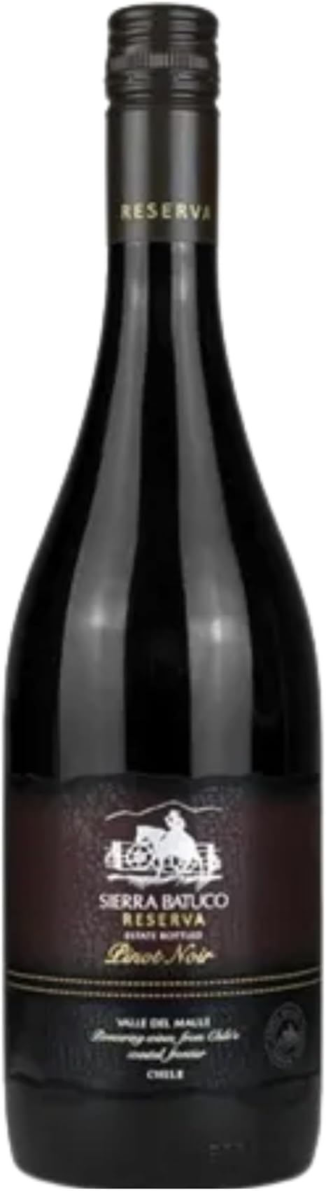 Top 10 Melhores Vinhos Pinot Noir em 2026 (Chileno, Francês e mais) 5
