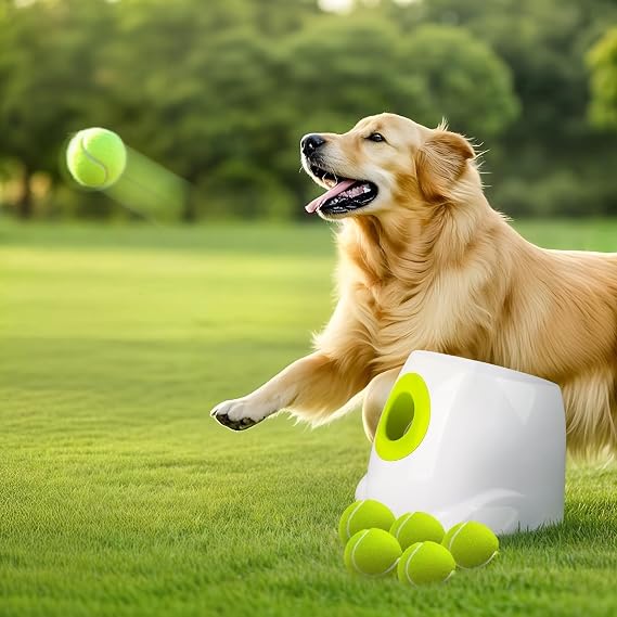 Lançador Automático de Bolas para Cães All for Paws 1