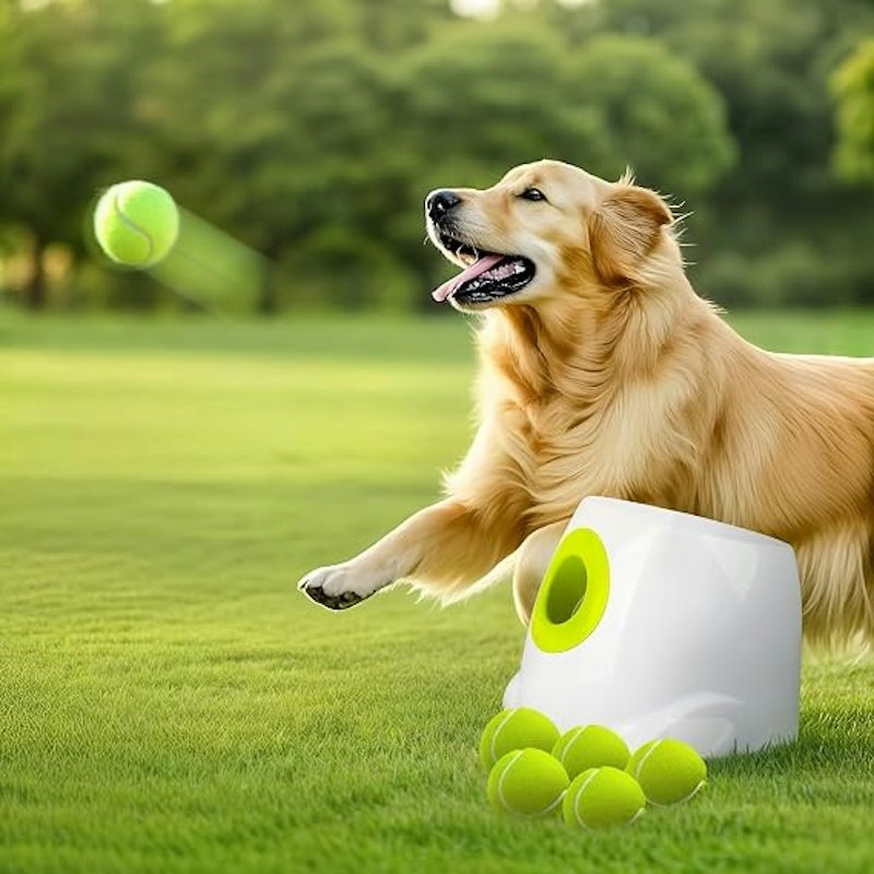 Lançador Automático de Bolas para Cães All for Paws 1