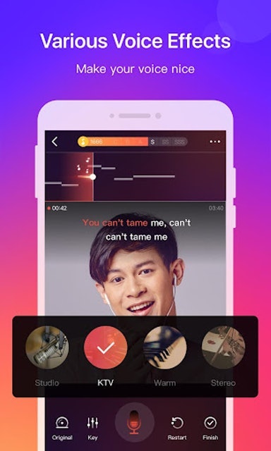 WeSing 4