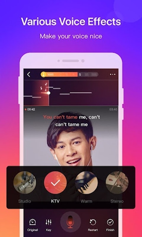 WeSing 4