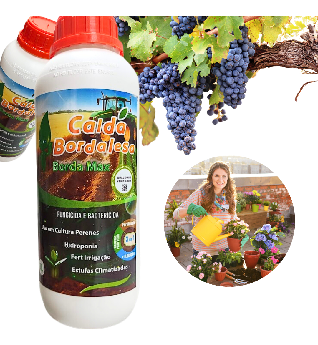 Top 10 Melhores Fungicidas para Plantas em 2026 (Sistêmico, de Contato e Mais) 4