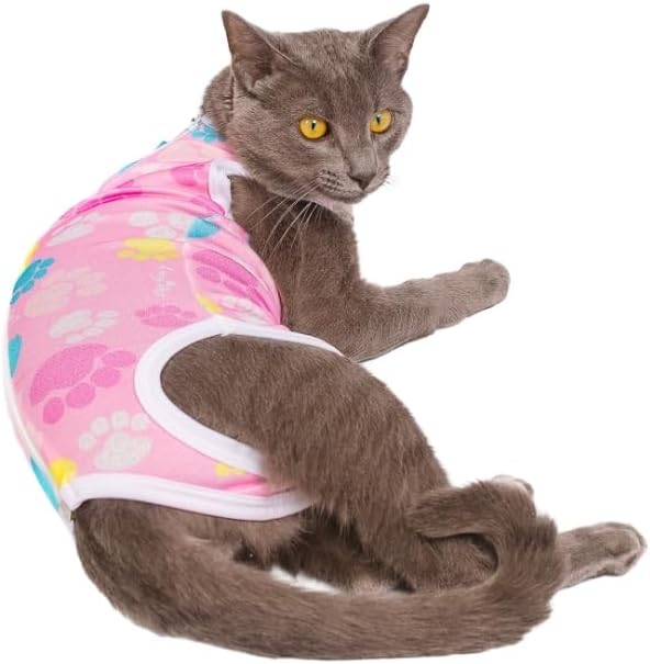 Roupa Gato Pós-Cirúrgica Castração Patas Fêmea 2