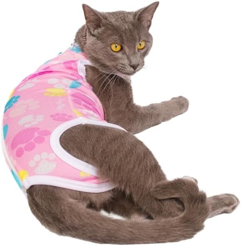 Roupa Gato Pós-Cirúrgica Castração Patas Fêmea 2