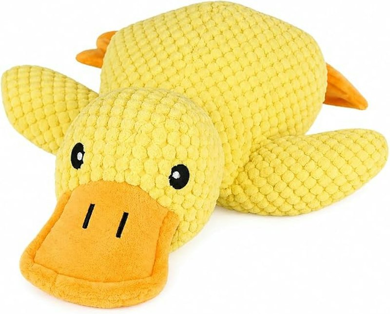 Brinquedo de Pelúcia para Cachorro em Formato de Pato 1