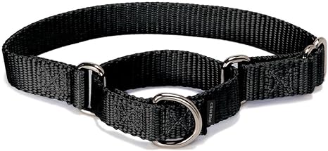 Coleira para Cachorro Martingale 1