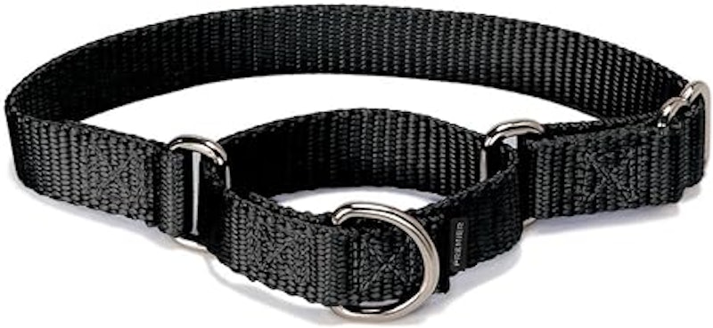 Coleira para Cachorro Martingale 1