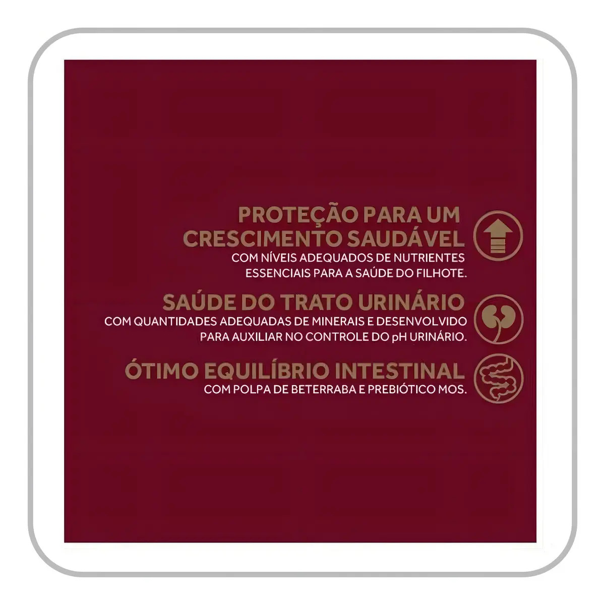 Menu Gato Filhote Frango & Arroz 2