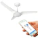 ALISEU Ventilador de Teto Slim Plus com Controle Remoto e Controle de Parede (220 V) 1