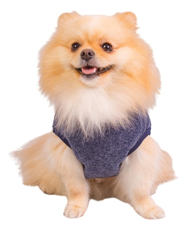 Roupa Pet Soft Bouclé Peluciado Azul Jeans 1