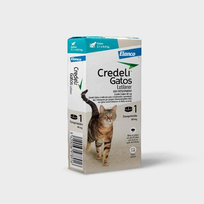 Credeli Gatos 1