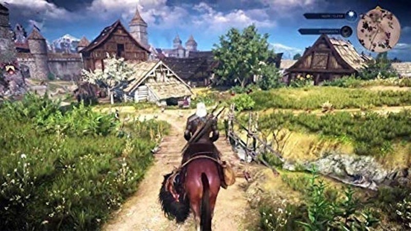 The Witcher 3: Wild Hunt (2015) 3
