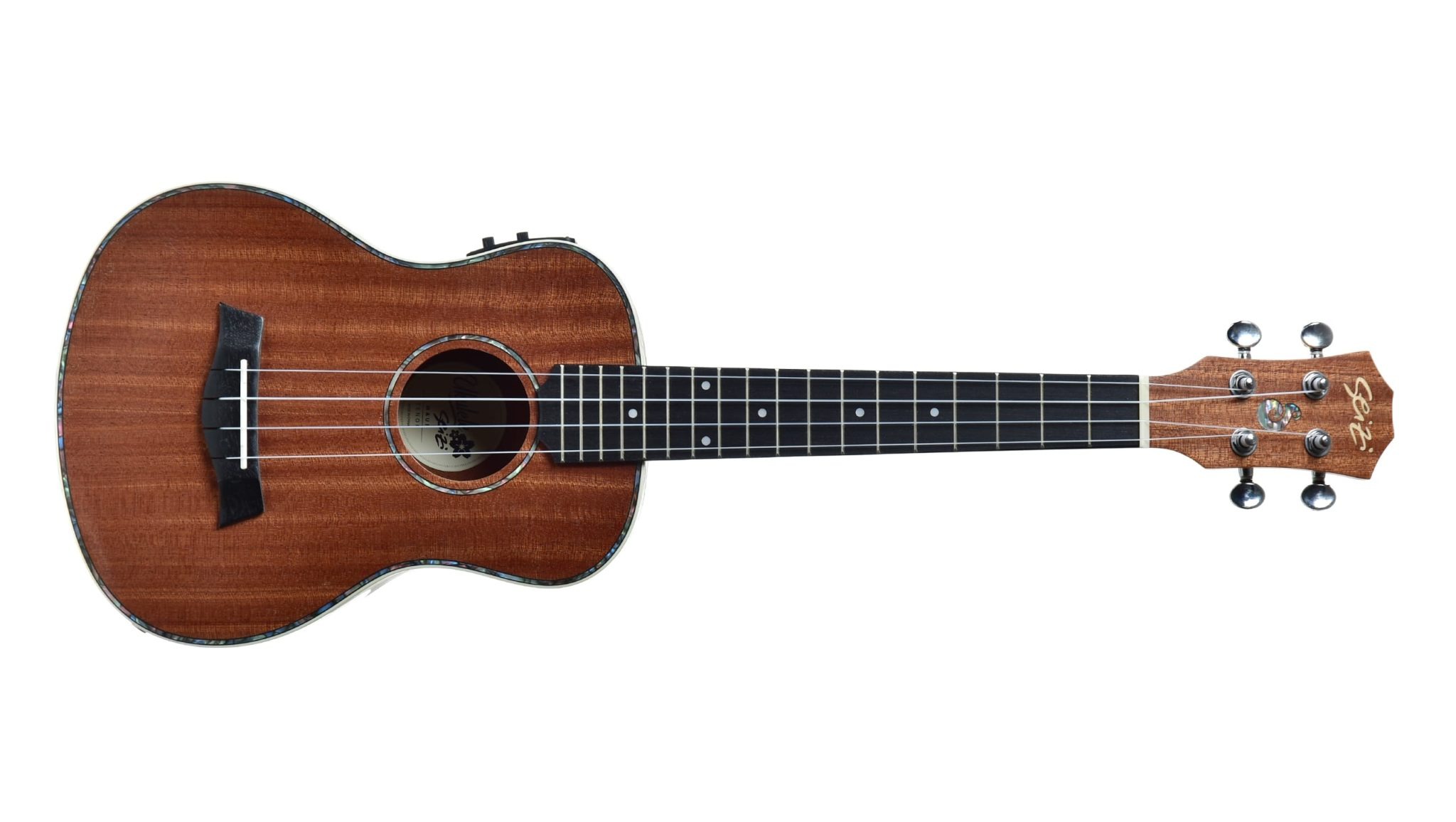 Seizi 5