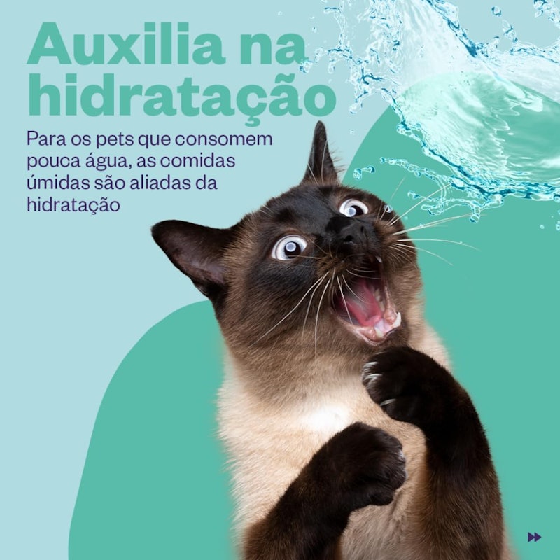 Petisco para Gato Truly Creamy Atum e Bonito 3
