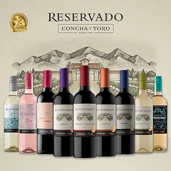 Vinho Chileno Reservado Malbec 4